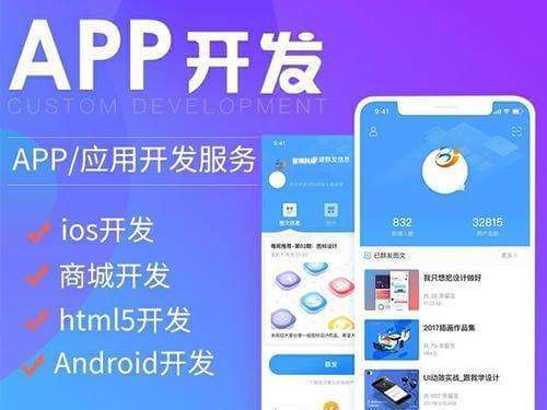 是app开发公司视图